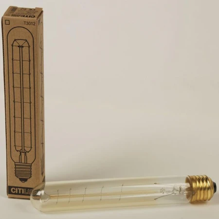 Лампа Citilux T3012G40 Эдисон