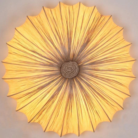 Светильник ST LUCE SL351.072.05