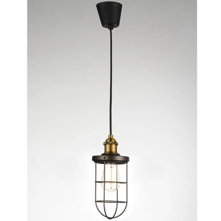 Светильник Favourite 1589-1P Dock