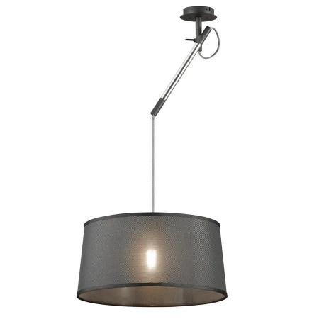 Светильник Odeon Light 4159/1 Loka