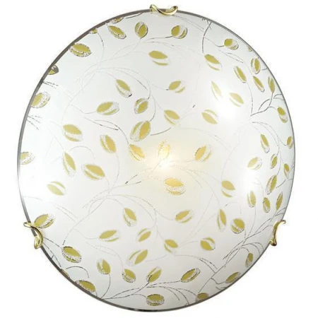 Настенно-потолочный светильник Sonex 123/K ETRA