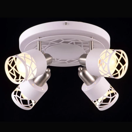 Светильник Natali Kovaltseva ESSEN 81044-4C STAIN GRAY