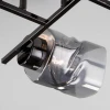 Потолочная люстра Eurosvet Hilari 30165/6 черный жемчуг