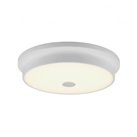 Потолочный светодиодный светильник Citilux Фостер-2 CL706230