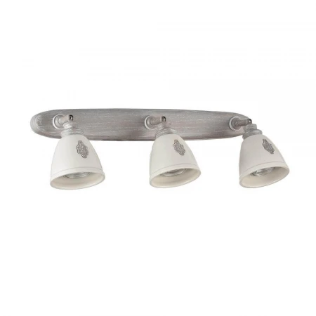 Спот Maytoni Agnes SP289-CW-03-BG