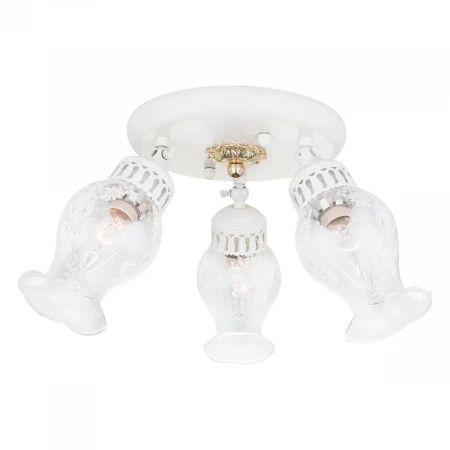 Спот Citilux Метафора CL413132