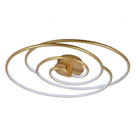 Потолочный светодиодный светильник F-Promo Sansara 2544-2U